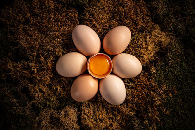 High angle view of eggs on hay