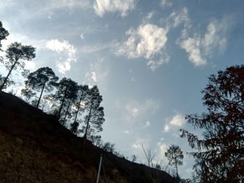 Low angle view of silhouette trees against sky