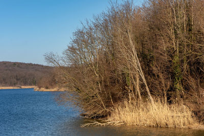 Scenic view of lake against clear sky