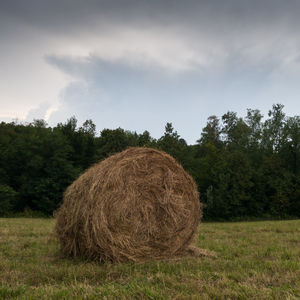 Hay bales on field against sky