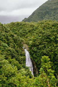 Scenic view of waterfall in forest