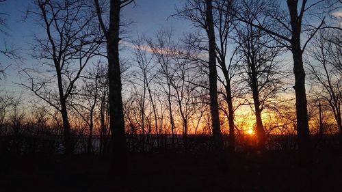 Silhouette trees against sky during sunset