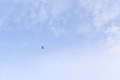 Low angle view of airplane flying in sky