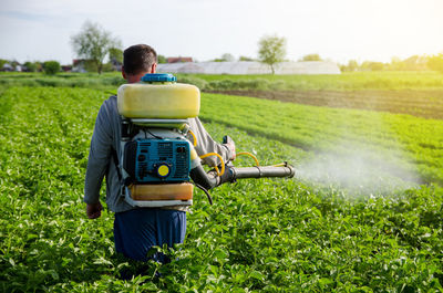 A farmer with a mist fogger sprayer sprays fungicide and pesticide on potato bushes