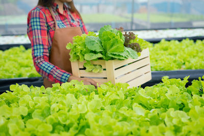 Midsection of woman with vegetables