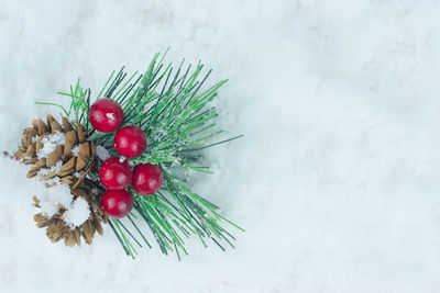 Close-up of christmas decorations