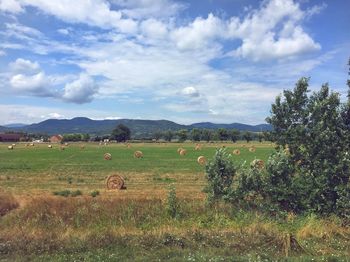 Hay bales on field against sky