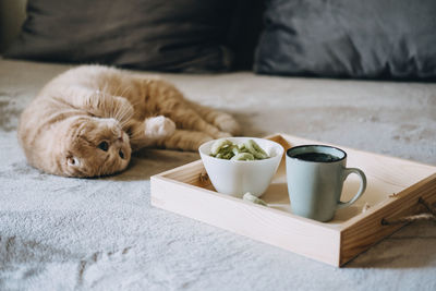 Cbd edibles, cbd-infused snacks, hemp wafers with cannabis. testy cbd snacks in bowl and cup of tea