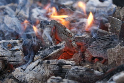 Close-up of logs