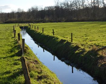 Canal amidst grass in park