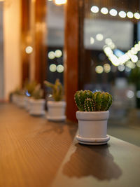 Close-up of potted plant on table