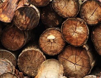 Full frame shot of firewood