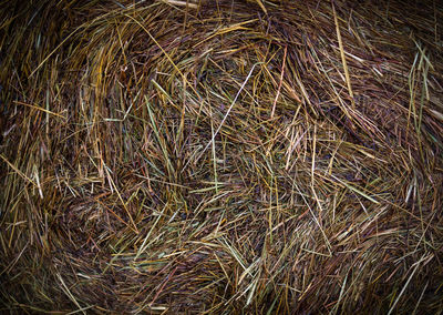 Full frame shot of hay bales on field