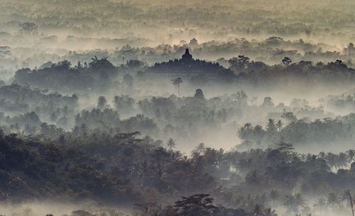 Scenic view of borobudur temple against sky during foggy weather