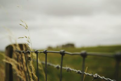 Close-up of barbed wire fence on field against sky