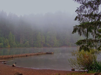 Scenic view of river in forest against sky