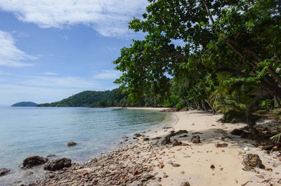 Scenic view of beach against sky