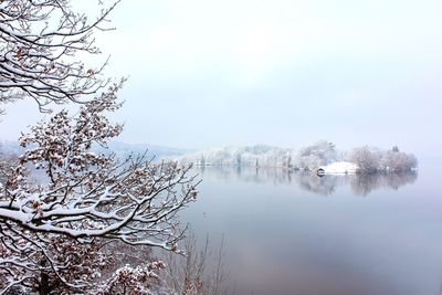 Reflection of trees in lake against sky