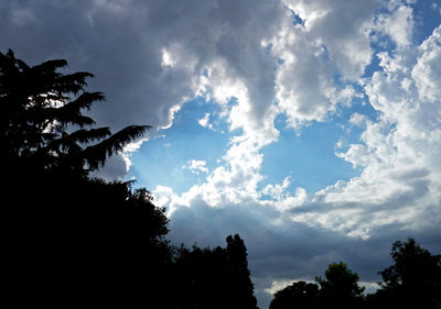 Low angle view of silhouette trees against sky