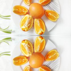 Directly above shot of orange fruits on table