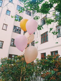 Close-up of balloons