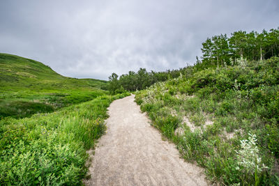 Scenic view of green landscape against sky