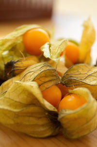 Close-up of orange physalis