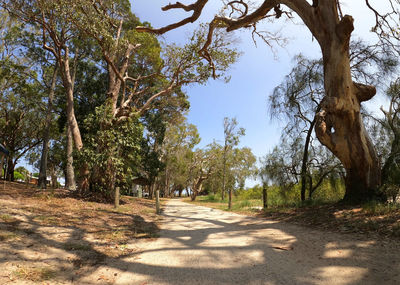 Road amidst trees in park against sky