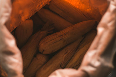 Midsection of woman holding wood