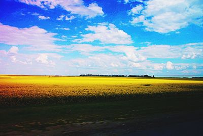 Scenic view of field against cloudy sky