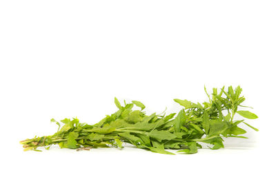 Close-up of vegetables against white background