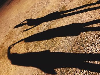 High angle view of shadow on sand