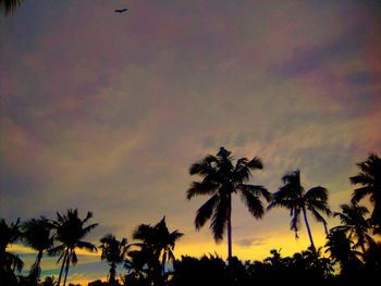 Low angle view of palm trees against romantic sky