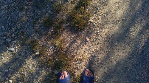 Low section of man wearing footwear standing on ground