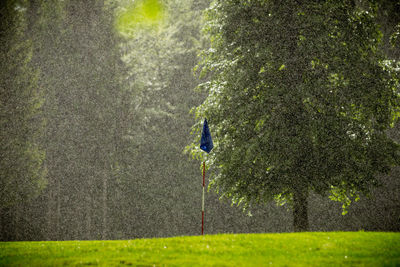 View of golf course