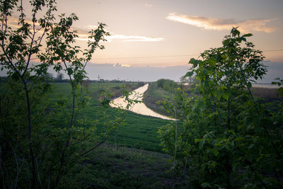 Scenic view of agricultural field against sky during sunset