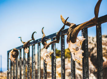 Close-up of barbed wire fence against clear sky