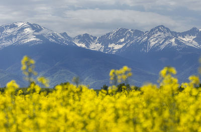 Scenic view of snowcapped mountains against sky