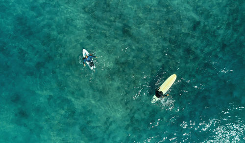 High angle view of man swimming in sea