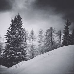 Scenic view of snow covered landscape