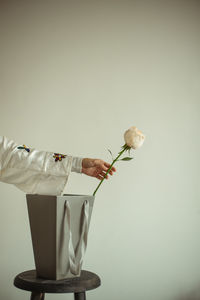 Close-up of hand holding flower vase against white background