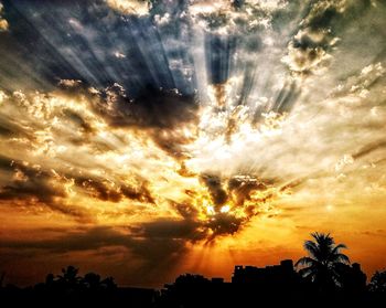 Low angle view of silhouette trees against sky during sunset