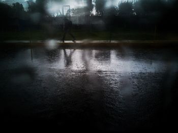 Silhouette tree in city during rainy season