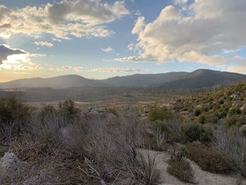 Scenic view of landscape against sky