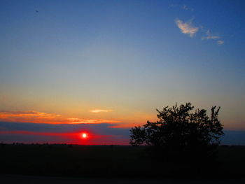 Silhouette trees on landscape against sky during sunset