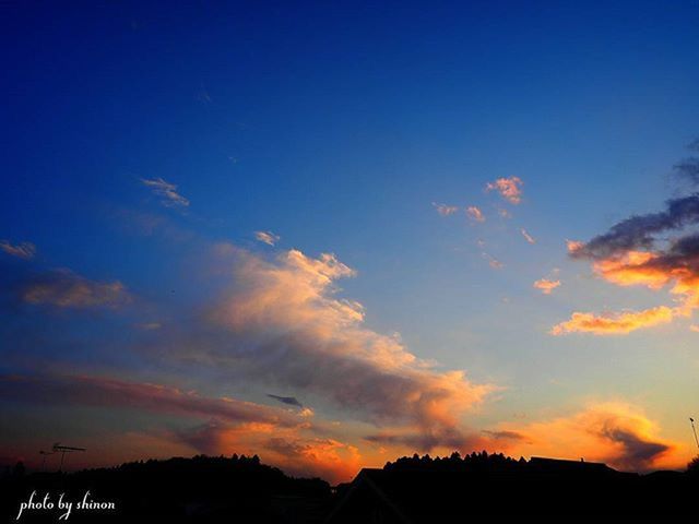 silhouette, sunset, sky, scenics, tranquil scene, beauty in nature, tranquility, blue, nature, cloud - sky, dusk, idyllic, landscape, tree, copy space, orange color, cloud, outdoors, no people, majestic