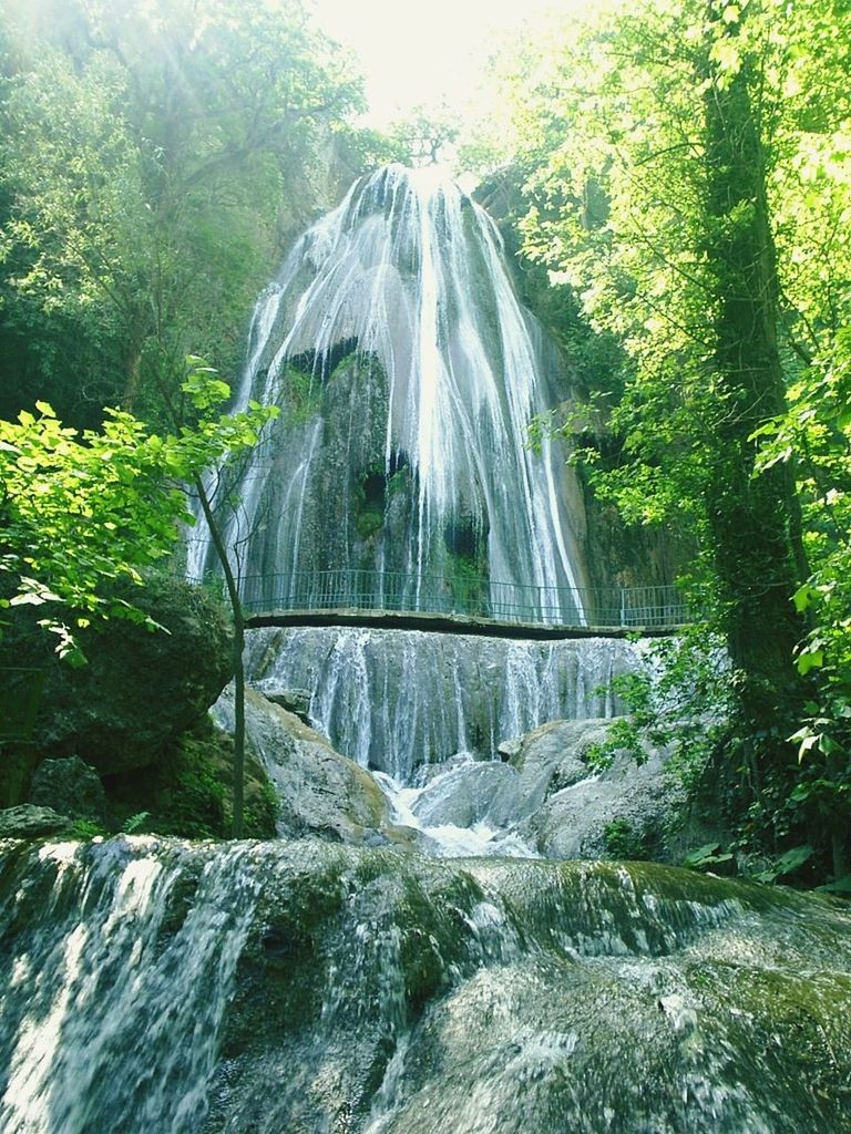 waterfall, plant, tree, water, nature, beauty in nature, water feature, scenics - nature, motion, forest, land, environment, flowing water, long exposure, day, no people, body of water, green, outdoors, rock, growth, non-urban scene, flowing, blurred motion, sunlight, idyllic, rainforest, jungle, splashing, travel destinations, landscape, environmental conservation, watercourse, tranquility, travel