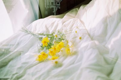 Close-up of white flower on bed