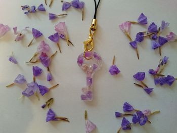 High angle view of purple flowers on table