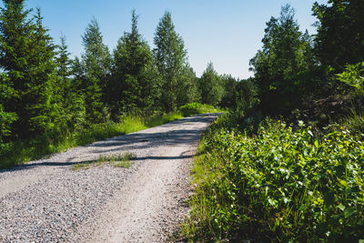 Scenic view of a road amidst trees and plants